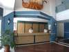 Viking Hotel 